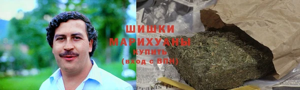 стаф Богородск