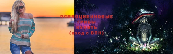 стаф Богородск