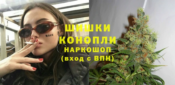 гидропоника Богородицк
