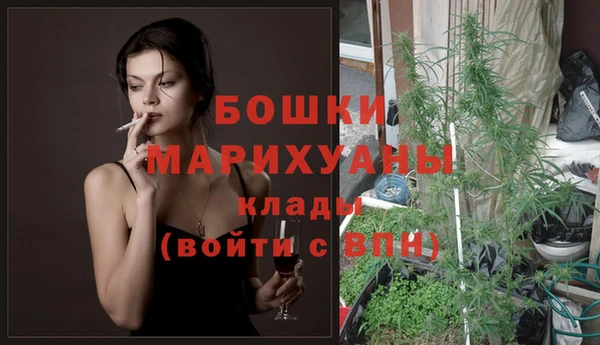 стаф Богородск